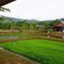 Pemandangan luar