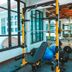 Gim