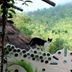 Pemandangan luar