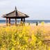 Pantai
