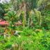 Pemandangan luar