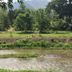 Pemandangan luar