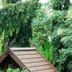 Pemandangan luar