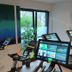 Gim