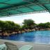 Kolam renang