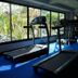 Gim