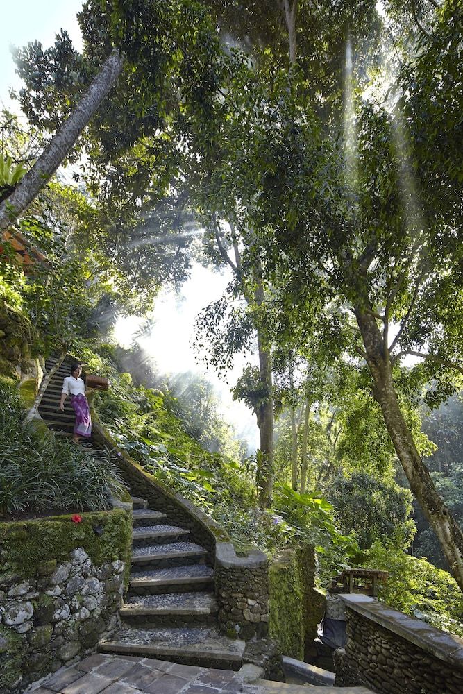 Pemandangan luar