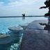 Kolam renang