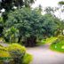 Pemandangan luar