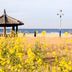 Pantai