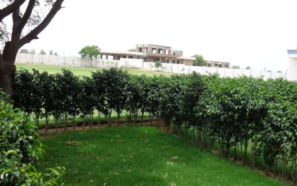 Pemandangan luar Gambar