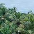 Pemandangan luar