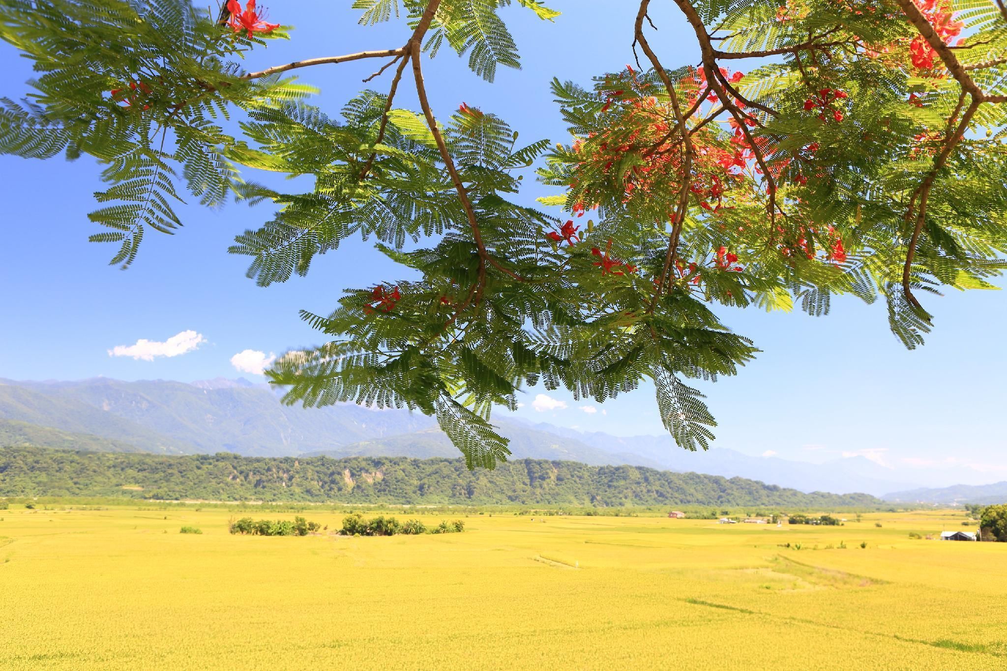 Pemandangan luar
