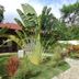 Pemandangan luar