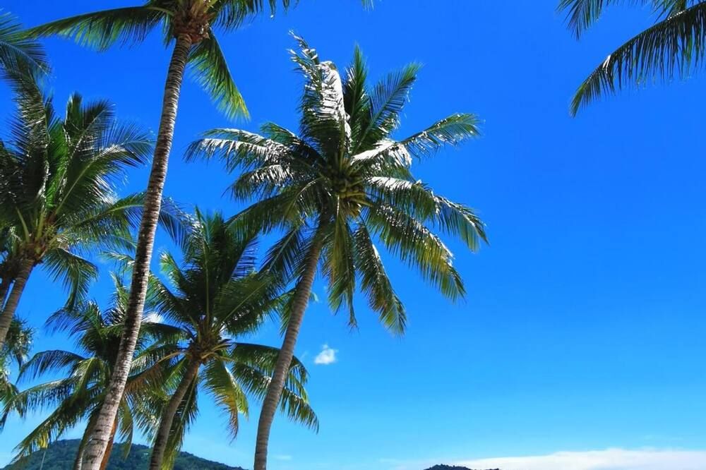 Pemandangan luar