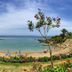Pantai
