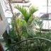 Pemandangan luar