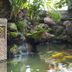 Pemandangan luar