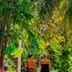 Pemandangan luar