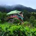 Pemandangan luar