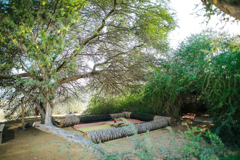 Pemandangan luar
