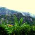 Pemandangan luar