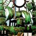 Lain-lain