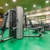 Gim