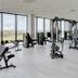 Gim