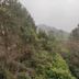 Pemandangan luar