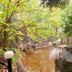 Pemandangan luar