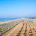 Pantai