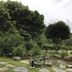 Pemandangan luar
