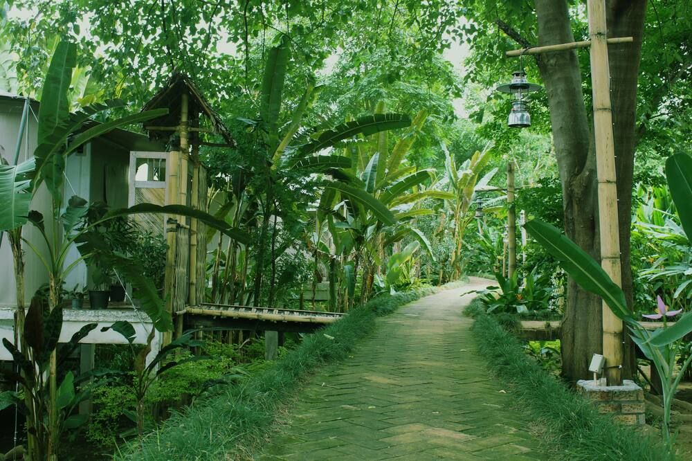 Pemandangan luar