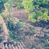 Pemandangan luar