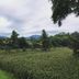 Pemandangan luar