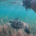 Lain-lain