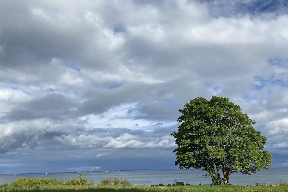 Pemandangan luar