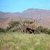 Lain-lain