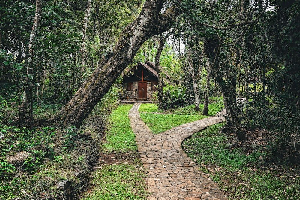 Pemandangan luar