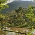 Pemandangan luar
