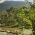 Pemandangan luar
