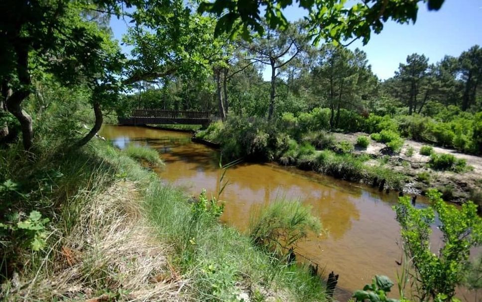 Pemandangan luar Gambar