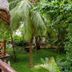 Pemandangan luar