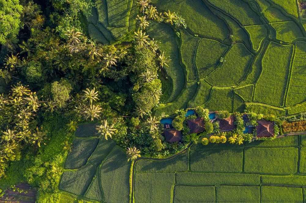 Pemandangan luar