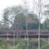 Pemandangan luar