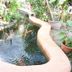 Pemandangan luar