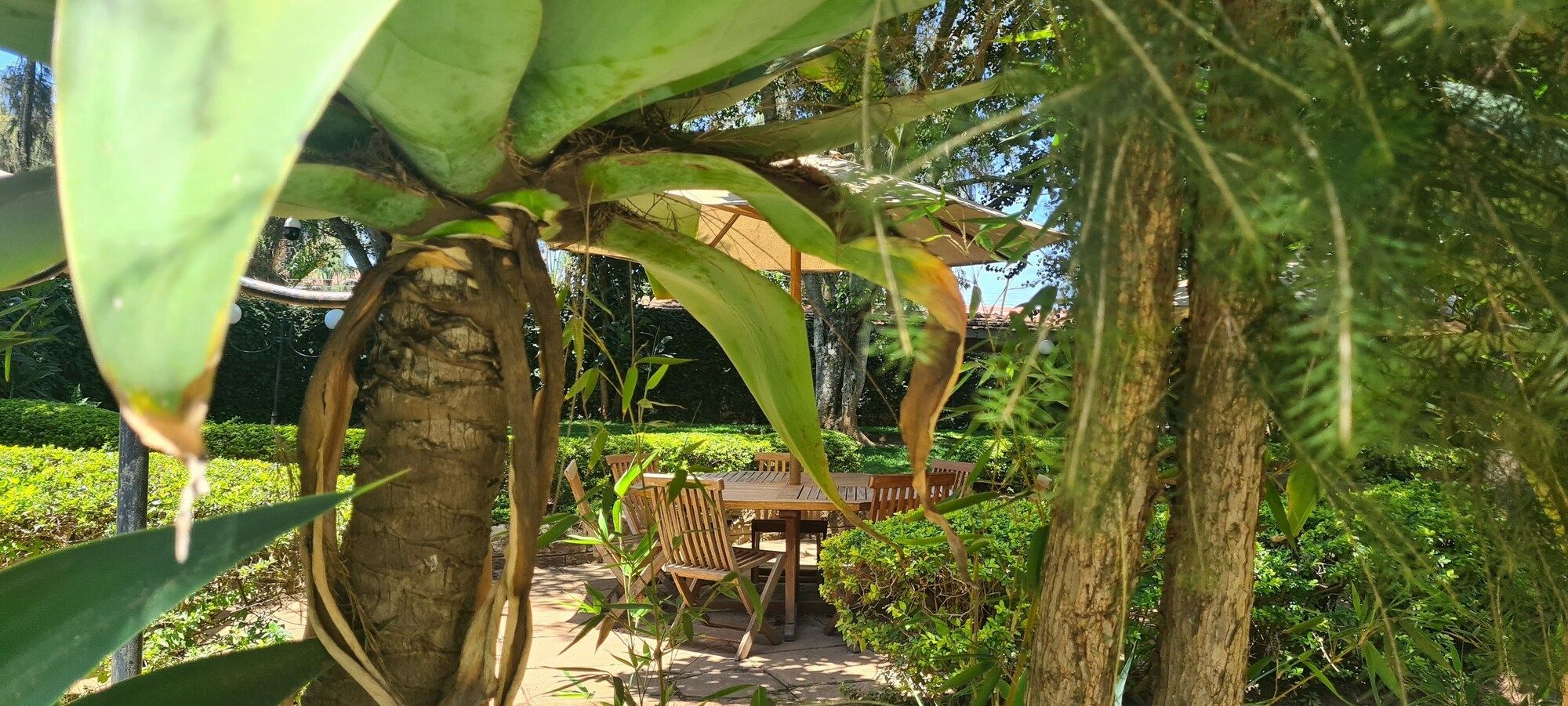 Pemandangan luar