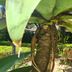 Pemandangan luar