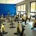 Gim